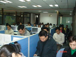 專業(yè)賦能，價(jià)值共創(chuàng) 廣東美佳聯(lián)房地產(chǎn)與土地評(píng)估咨詢及房地產(chǎn)經(jīng)紀(jì)服務(wù)解析